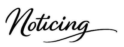 Noticing